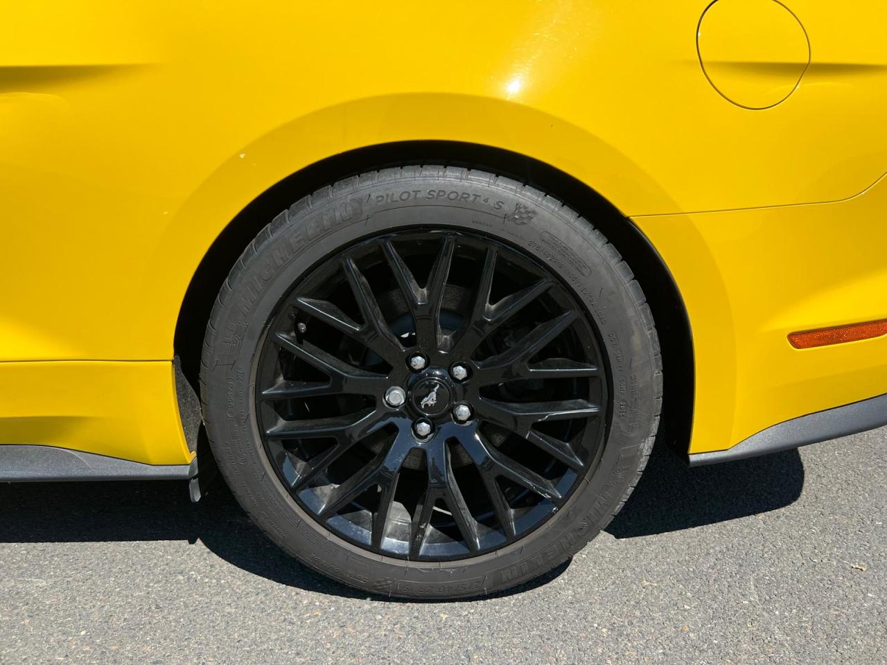 FORD MUSTANG GT FASTBACK 5.0L V8 BVA - Malus Payé